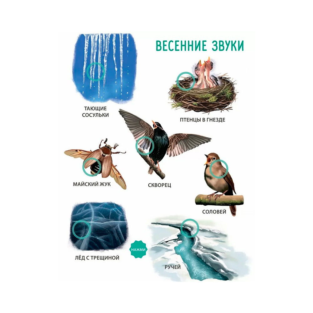 Музыкалкины книжки. Мир вокруг меня CLEVER — изображение 3