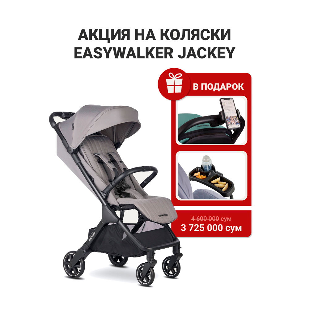 Прогулочная коляска Easywalker Jackey2 Pebble Grey