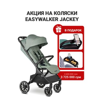 Прогулочная коляска Easywalker Jackey2 Agave Green