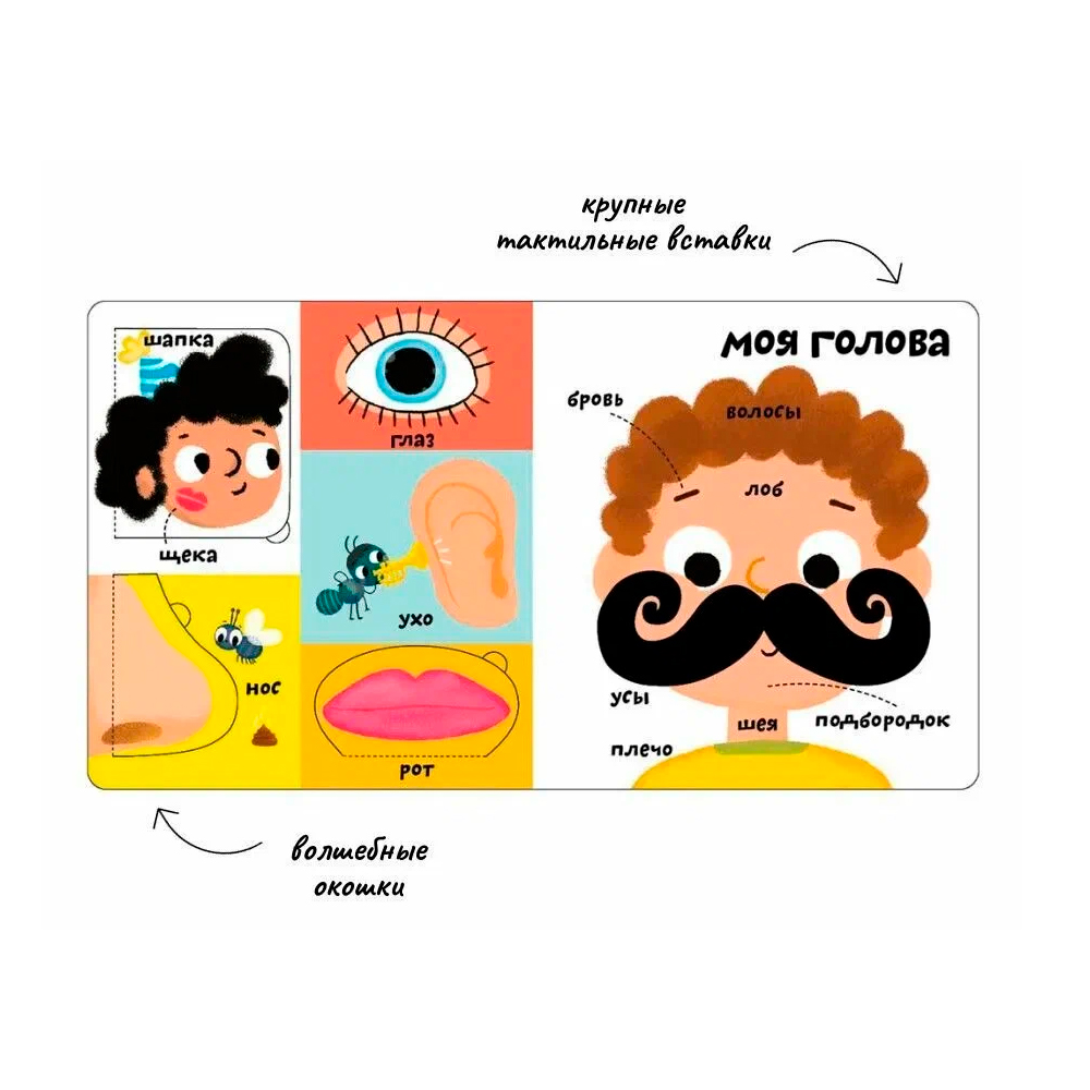 Мои первые 100 слов с окошками. Моё тело Clever — изображение 2