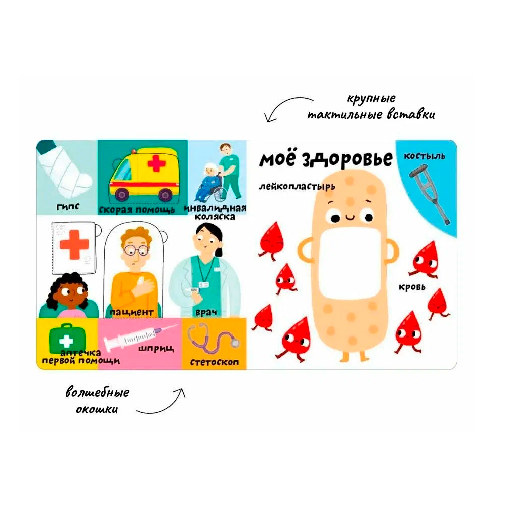 Мои первые 100 слов с окошками. Моё тело Clever — изображение 4