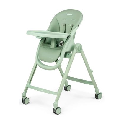 Стульчик для кормления Peg-Perego Living Space Sage зеленый