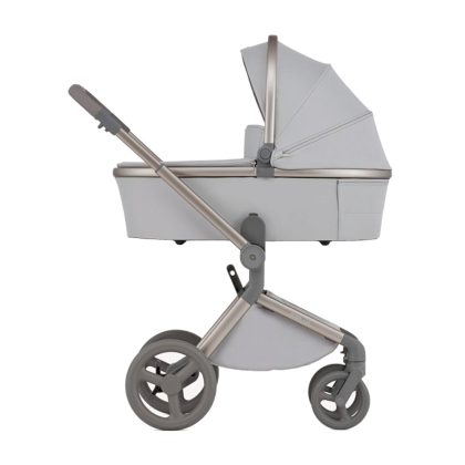 Коляска 2в1 Anex FLO FROSSY